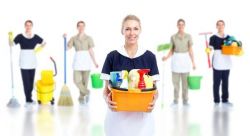 Expert Team of Cleaners